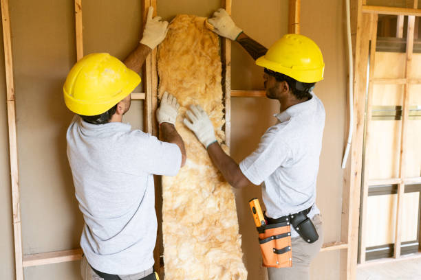 Best Insulation Replacement Services  in Beaver Dam, AZ